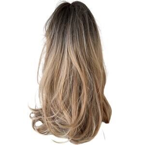 HAIRCUBE Elegant Brown Ombre Wig EUC